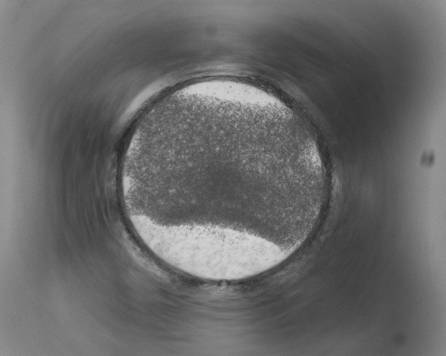 X0000113961450200911061315