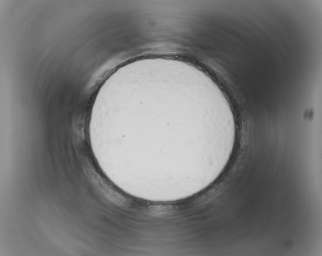 X0000113961451200911061315