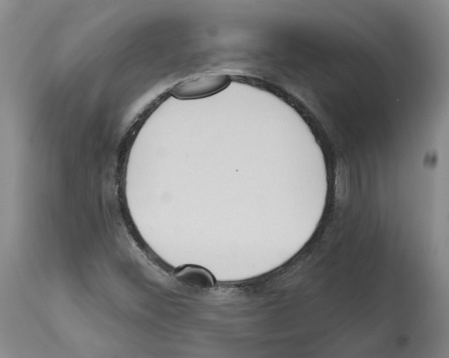 X0000113961452200911061315