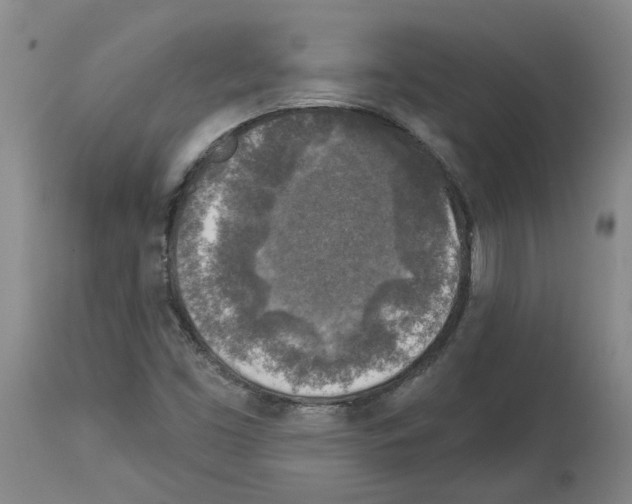 X0000113961453200911061315