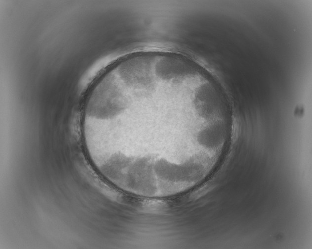 X0000113961454200911061315