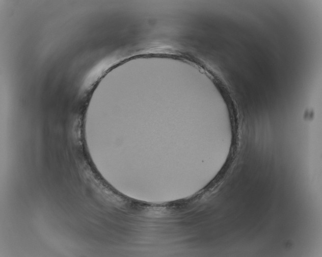 X0000113961455200911061315