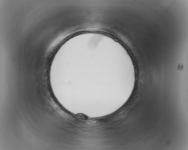 X0000113961456200911061315