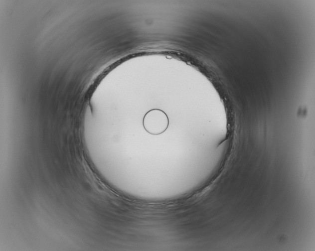 X0000113961457200911061315