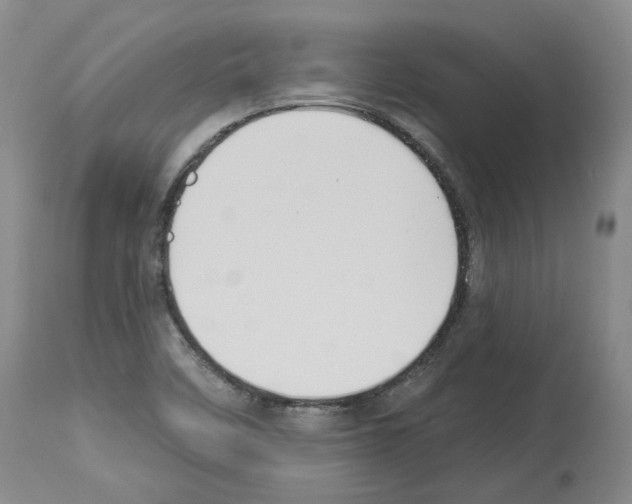X0000113961458200911061315