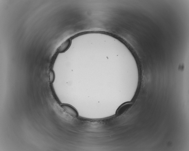 X0000113961460200911061315