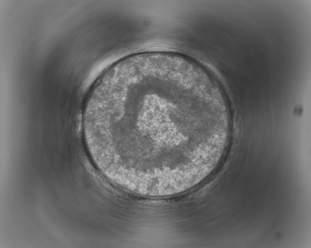 X0000113961461200911061315