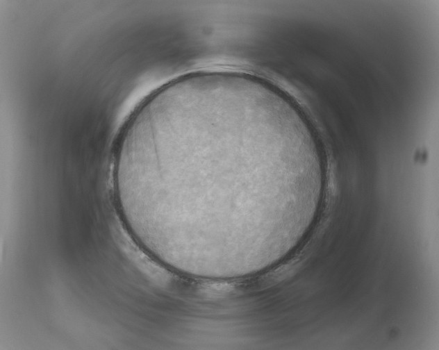 X0000113961462200911061315