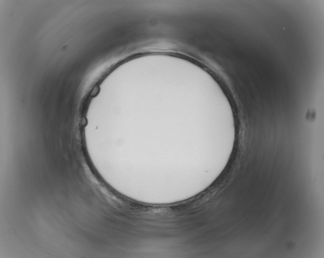 X0000113961464200911061315