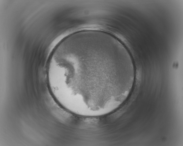 X0000113961466200911061315