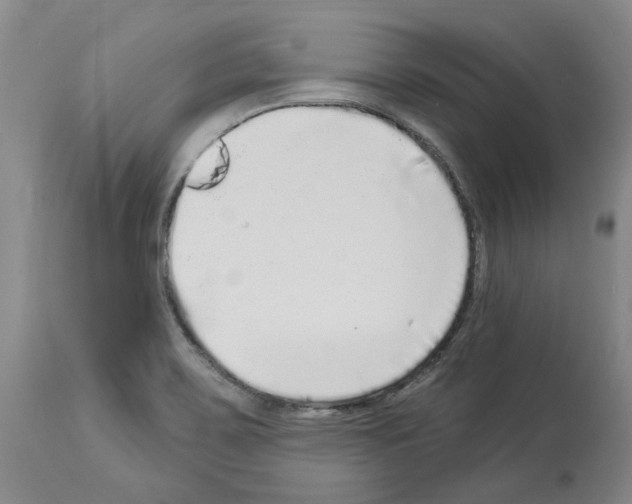 X0000113961467200911061315