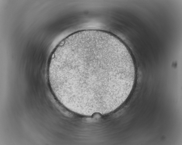 X0000113961469200911061315