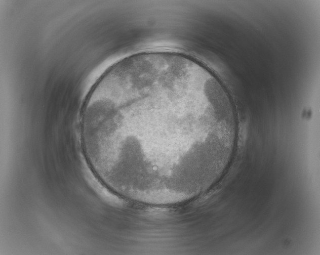 X0000113961470200911061315
