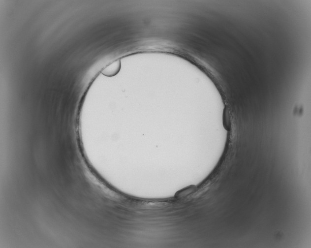 X0000113961471200911061315