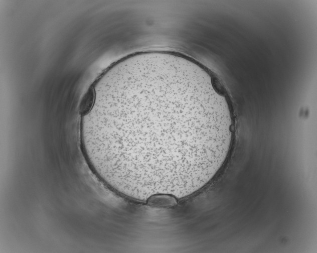 X0000113961472200911061315