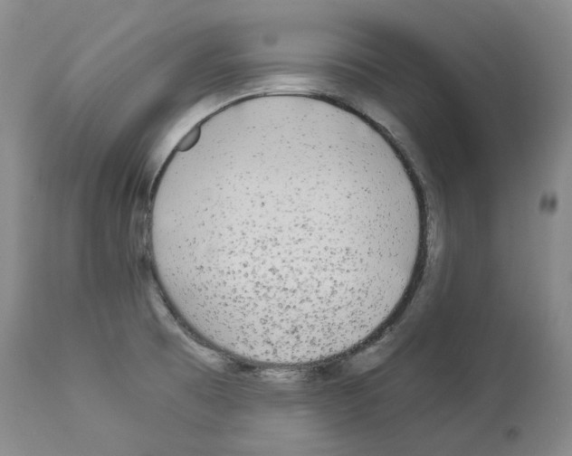 X0000113961473200911061315