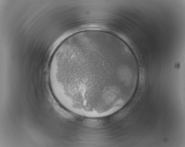 X0000113961474200911061315