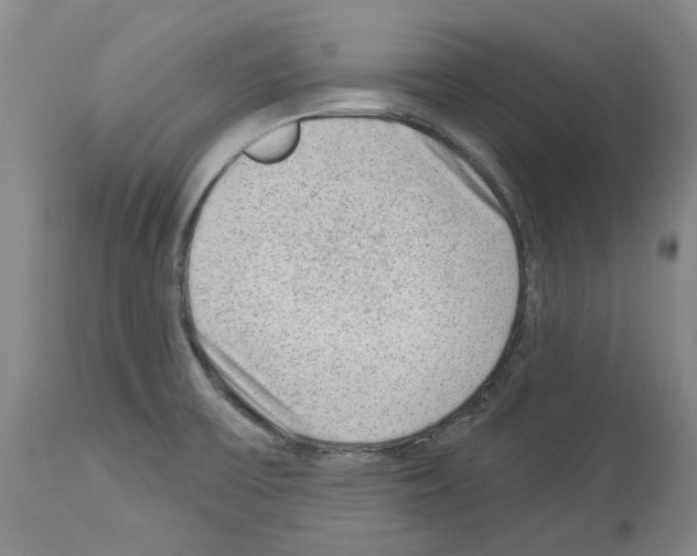X0000113961475200911061315