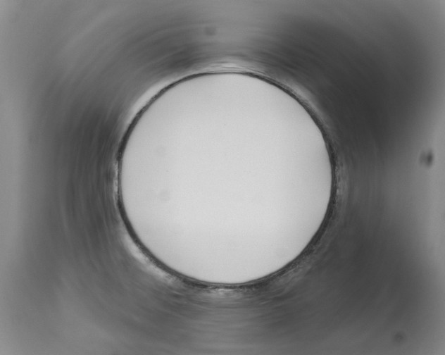 X0000113961476200911061315