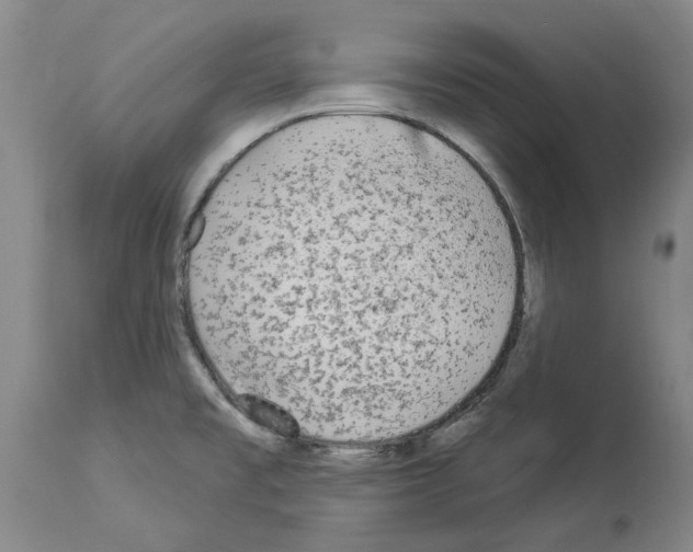 X0000113961477200911061315
