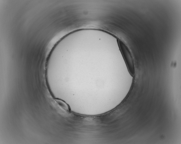 X0000113961480200911061315