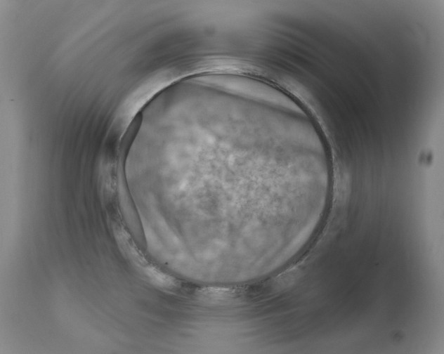 X0000113961481200911061315