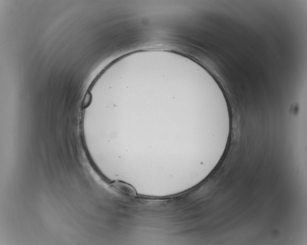 X0000113961484200911061315