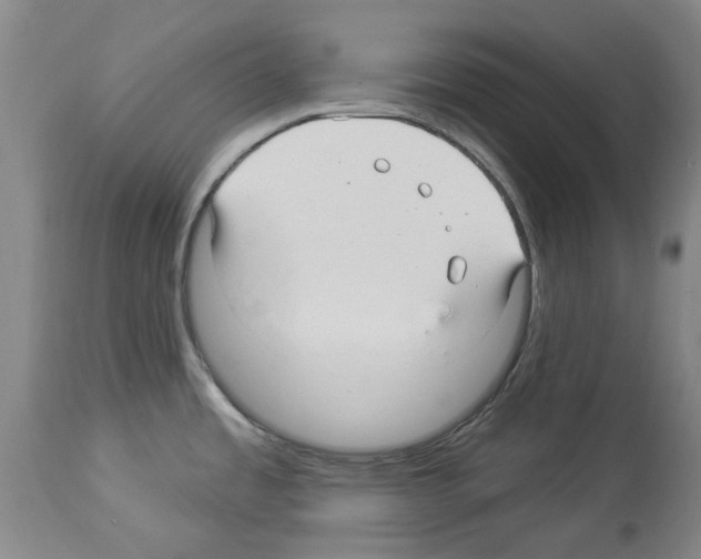 X0000113961485200911061315