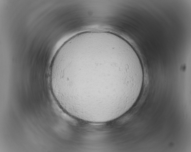 X0000113961486200911061315