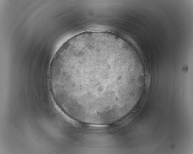 X0000113961487200911061315