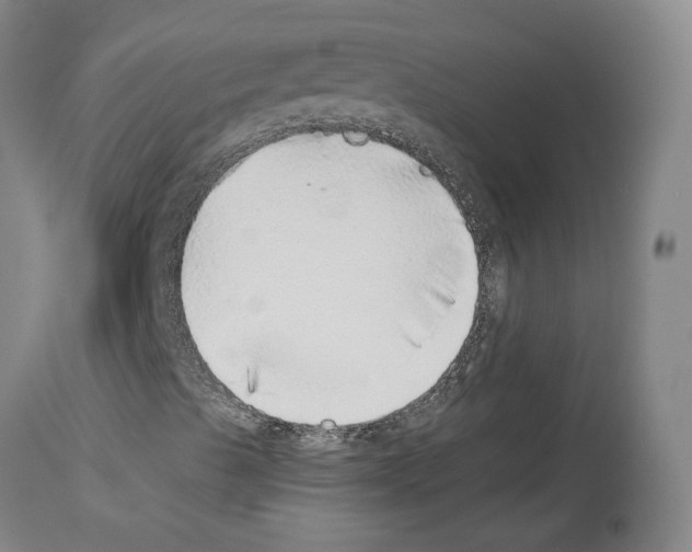 X0000113961489200911061314