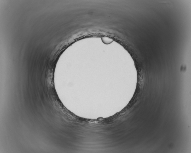X0000113961490200911061314
