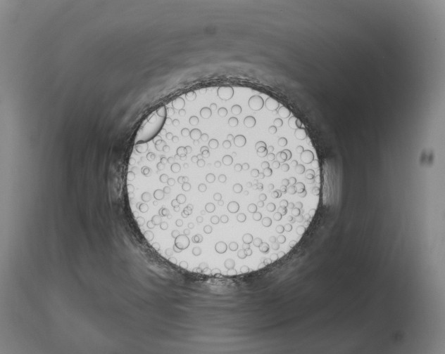 X0000113961491200911061314