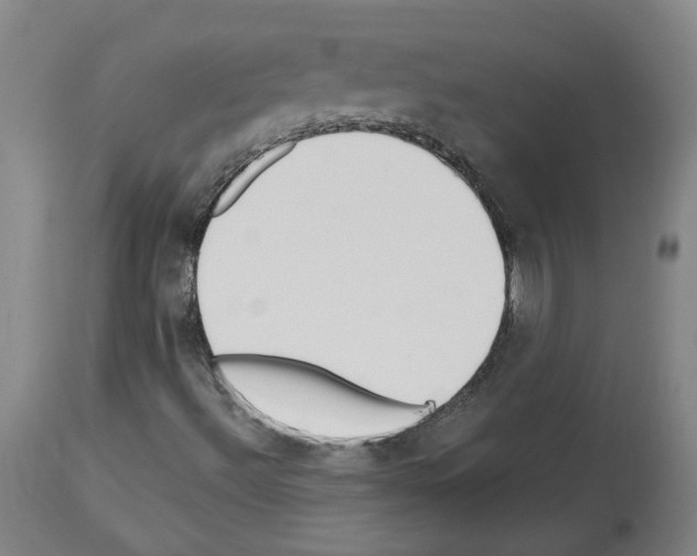 X0000113961492200911061314