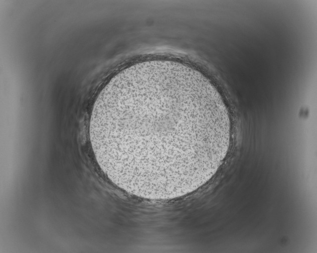 X0000113961493200911061314