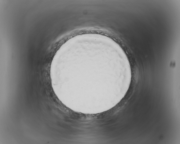X0000113961494200911061314