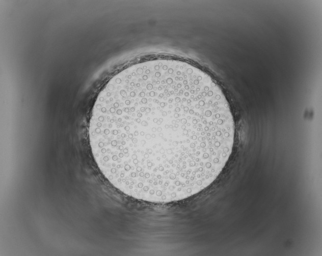 X0000113961495200911061314