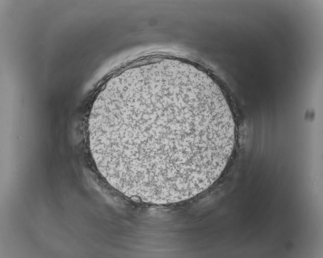 X0000113961496200911061314