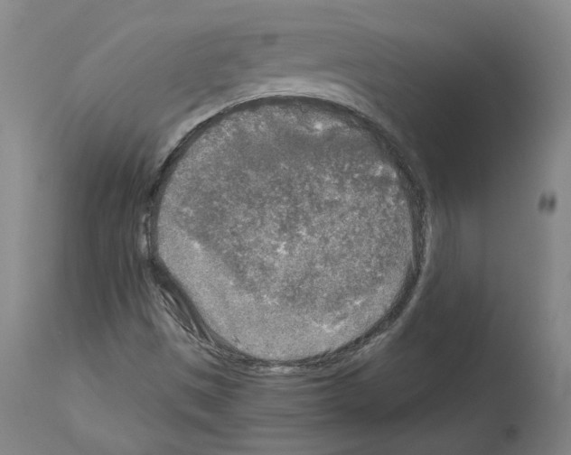 X0000113961497200911061314