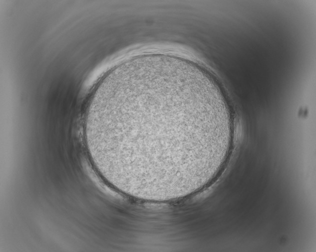 X0000113961498200911061314