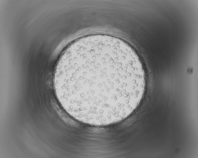 X0000113961499200911061314