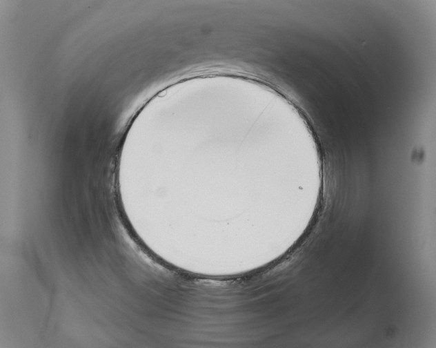 X0000113961500200911061314