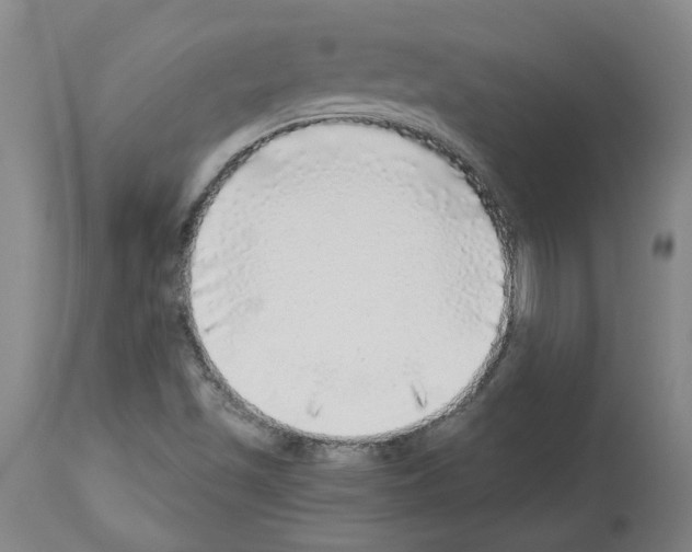 X0000113961501200911061314