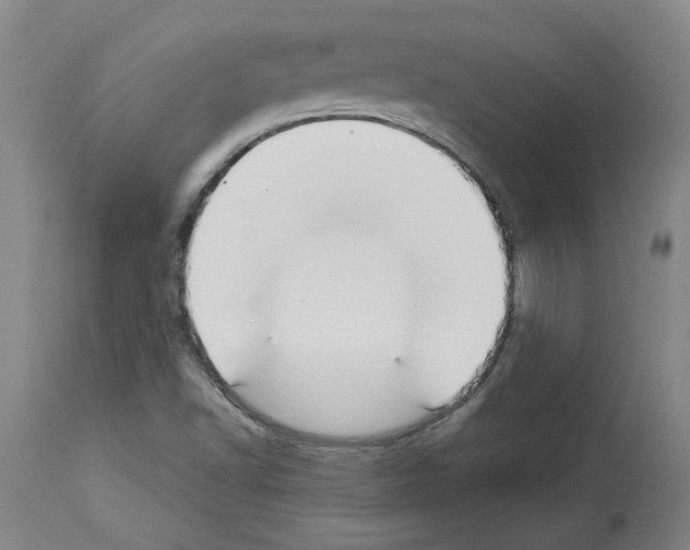 X0000113961502200911061314