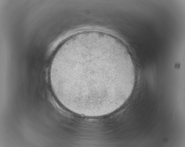 X0000113961503200911061314