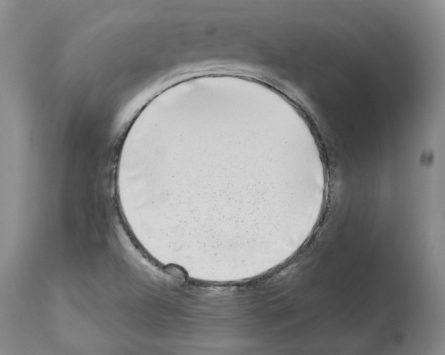 X0000113961504200911061314