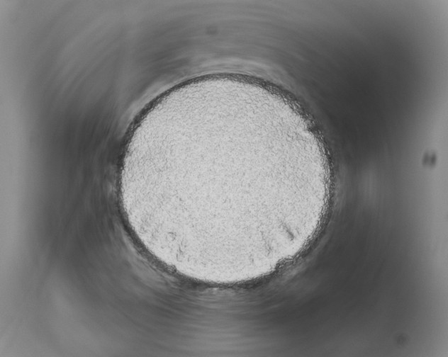 X0000113961505200911061314