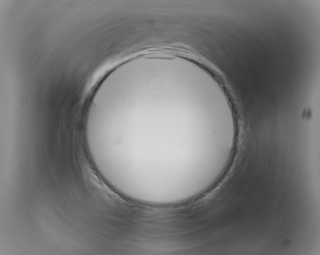 X0000113961506200911061314