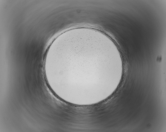 X0000113961508200911061314