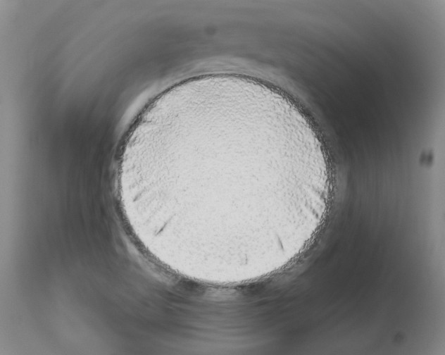 X0000113961509200911061314